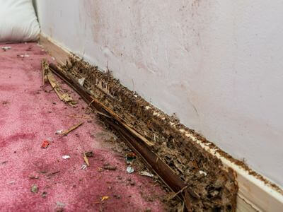 About HydroLift Pros - water damage restoration experts in San Dimas
